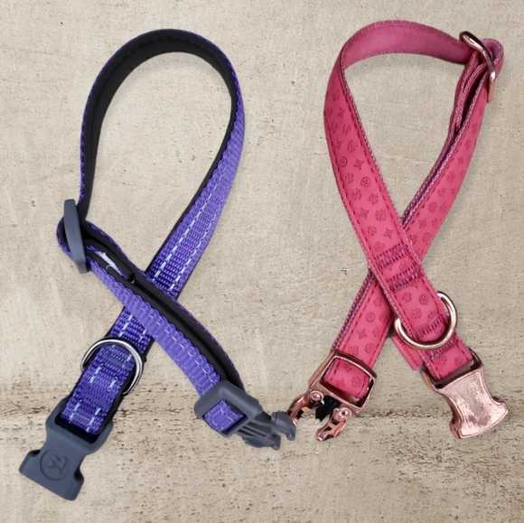 💜💟 Dog 🐕 Collars - Picture 4 of 5